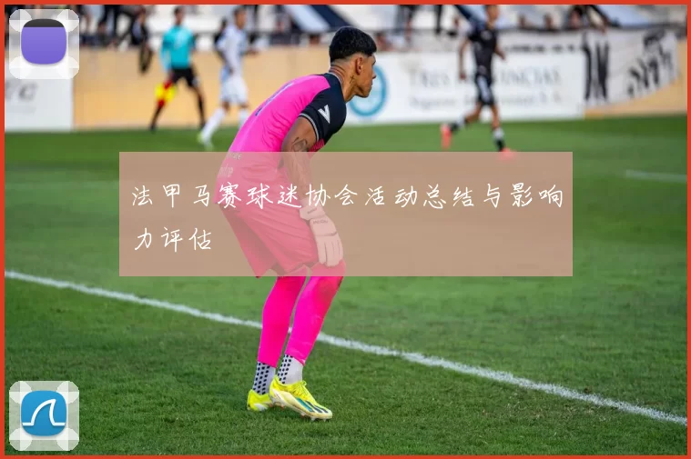 法甲马赛球迷协会活动总结与影响力评估