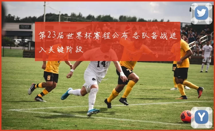 第23届世界杯赛程公布 各队备战进入关键阶段