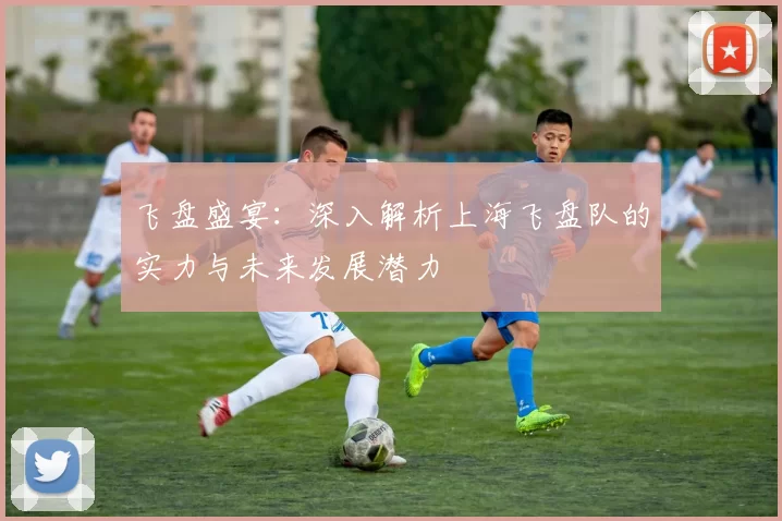 飞盘盛宴：深入解析上海飞盘队的实力与未来发展潜力