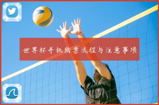 世界杯手机购票流程与注意事项