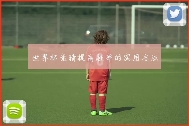 世界杯竞猜提高胜率的实用方法