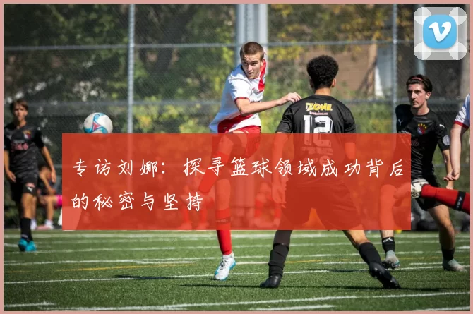专访刘娜：探寻篮球领域成功背后的秘密与坚持