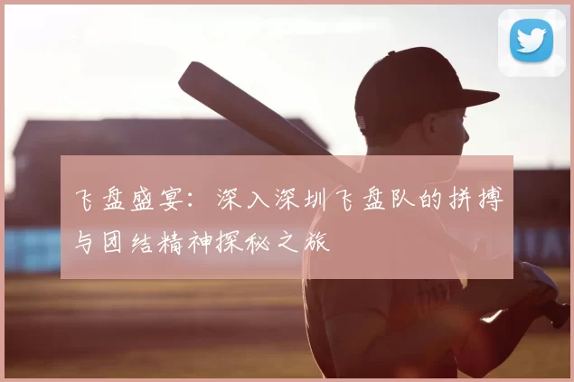 飞盘盛宴：深入深圳飞盘队的拼搏与团结精神探秘之旅
