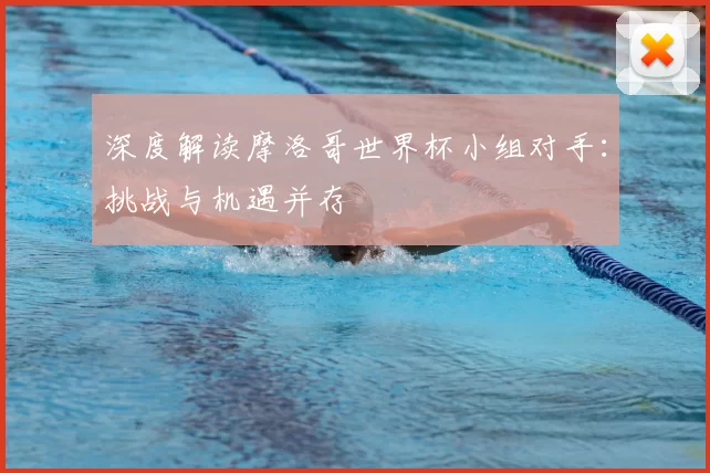 深度解读摩洛哥世界杯小组对手:挑战与机遇并存