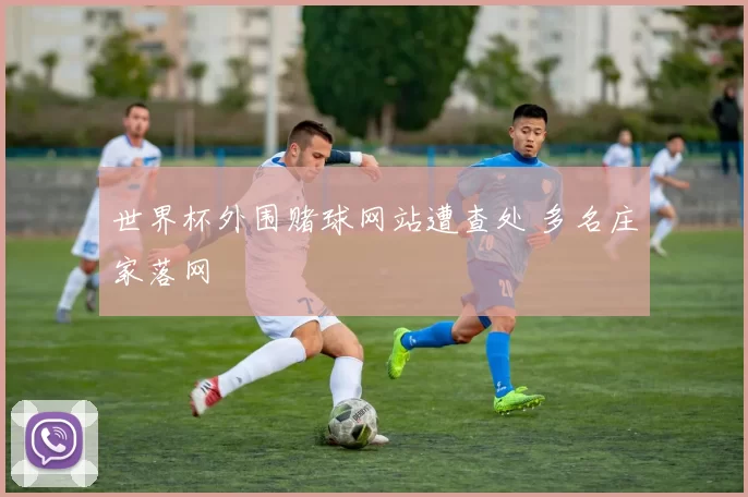 世界杯外围赌球网站遭查处 多名庄家落网