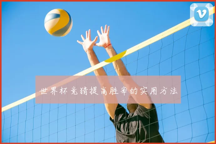 世界杯竞猜提高胜率的实用方法
