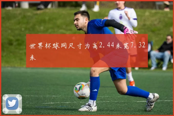 世界杯球网尺寸为高2.44米宽7.32米