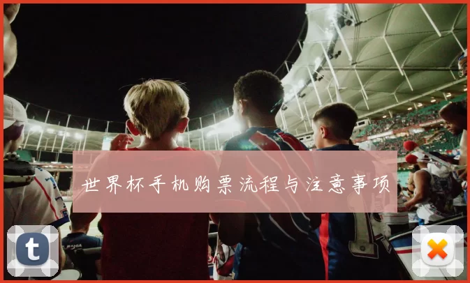 世界杯手机购票流程与注意事项