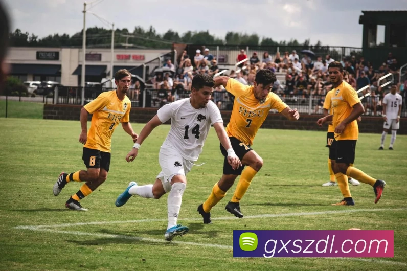 多媒体互动体验